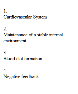 Module 1 Quiz